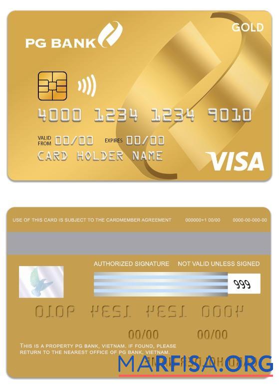 Realistic Vietnam PG Bank visa credit gold card sample